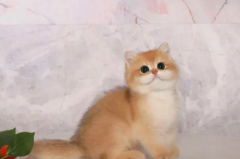 uӱ؈
